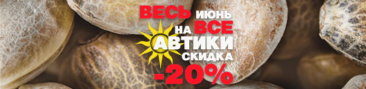 20% скидки на все автоцветы!