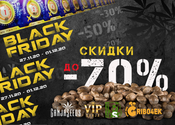 Black Friday от GanjaSeeds