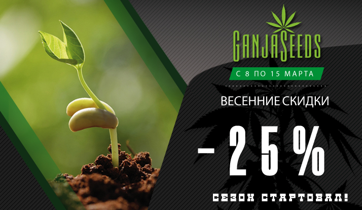 Весенняя неделя распродажи! Скидки 25% на семена конопли