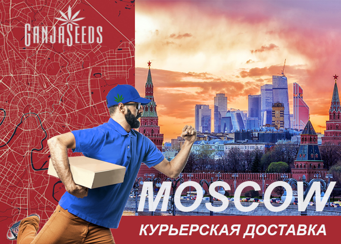 Москва: Курьерская доставка семян конопли