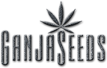 Бренд GanjaSeeds банк семян