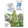 хорошие семена конопли 30st Anniversary Mix feminised Dutch Passion Seeds хорошие семена конопли 30st Anniversary Mix feminised Dutch Passion Seeds