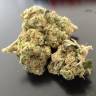 мощные семена конопли Grapefruit Diesel feminised мощные семена конопли Grapefruit Diesel feminised
