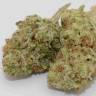 заказ семян конопли Grapefruit Haze feminised заказ семян конопли Grapefruit Haze feminised