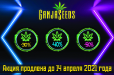 Скидки на семена конопли до 50% еще неделя!