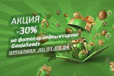 Новогодняя распродажа на GanjaSeeds продолжается!