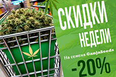 ТОП 10 Зима 2024. Неделя скидок от GanjaSeeds!