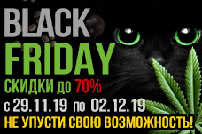 Black Friday на Ganja Seeds: Больше выбор – шире возможности